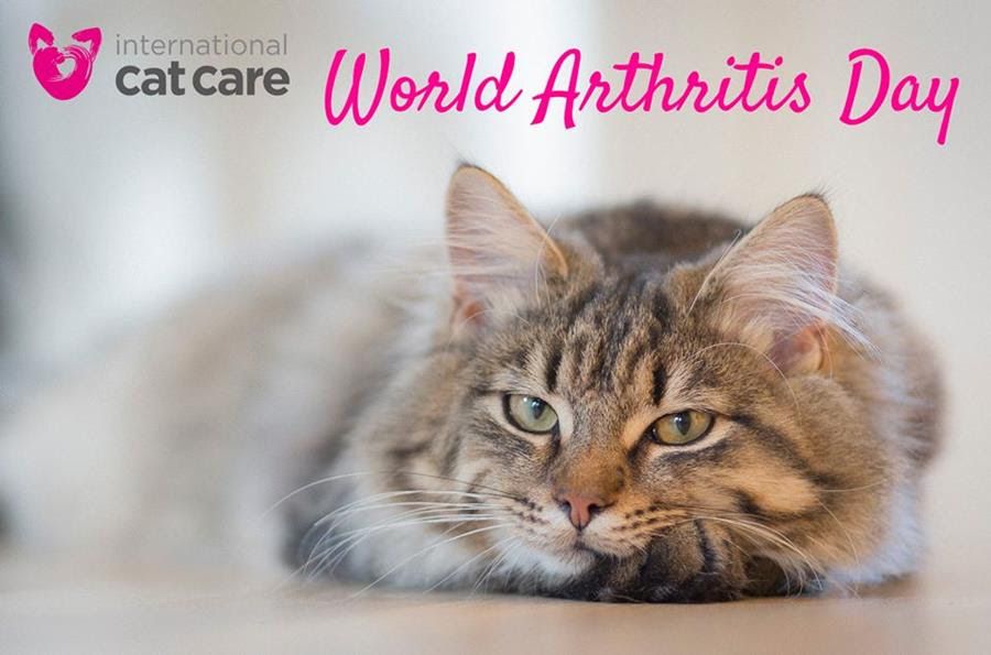 arthritis day 12 October